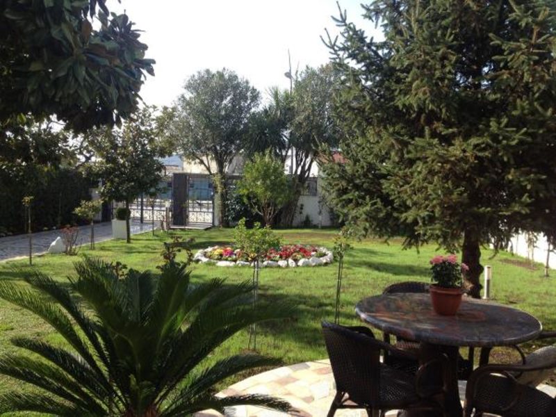 Ivanka Pavlovic 73217