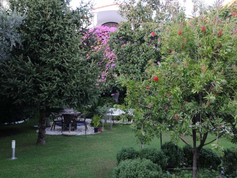 Ivanka Pavlovic 73238