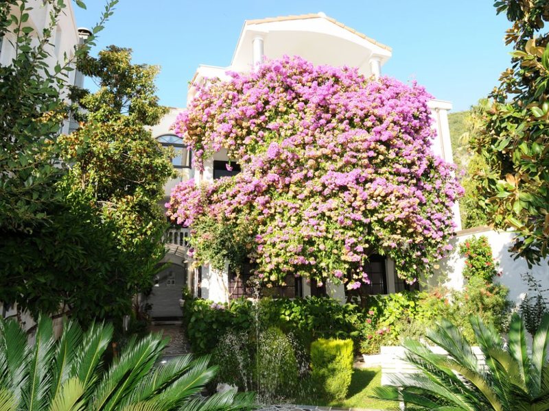 Ivanka Pavlovic 73239