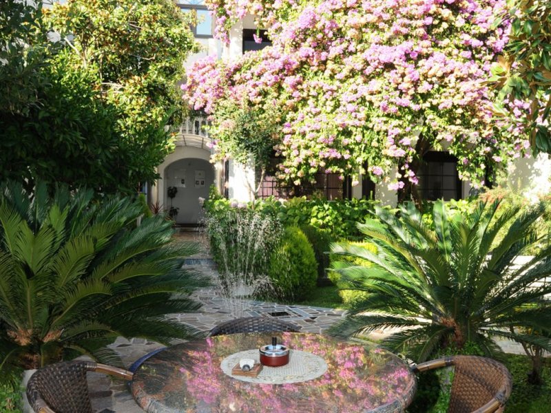 Ivanka Pavlovic 73241