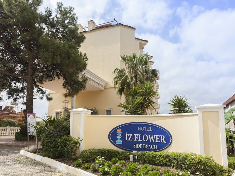 Iz Flower Side Beach 189335