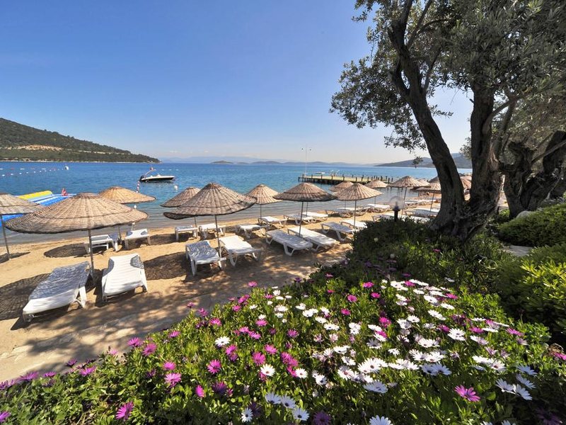 Izer Hotel Beach Club 186132