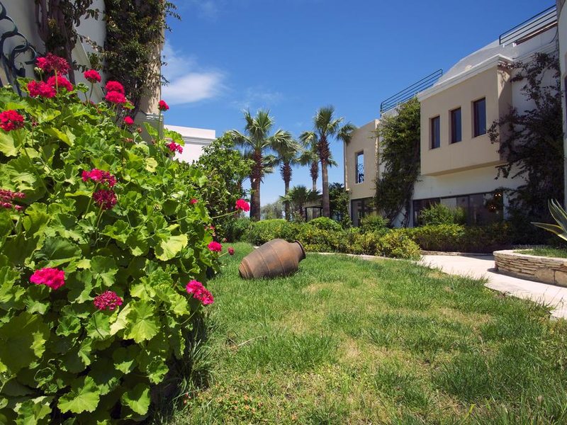 Izer Hotel Beach Club 186145