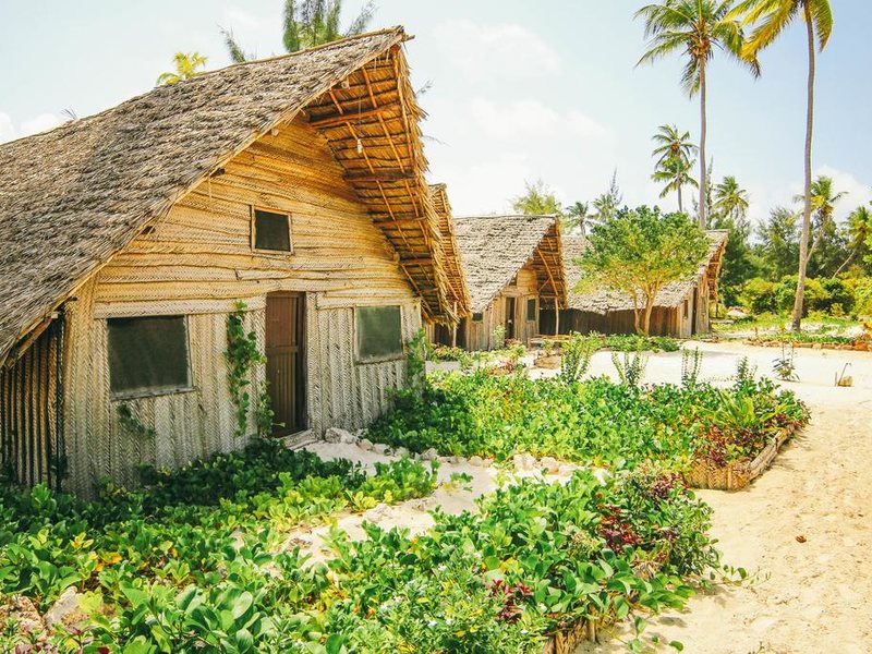 Jambo Beach Bungalows 200067