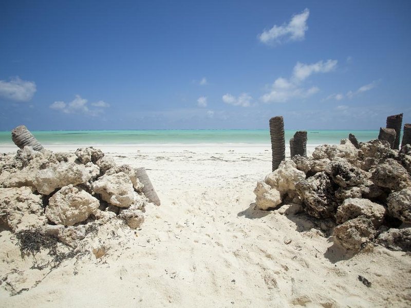 Jambo Beach Bungalows 200092