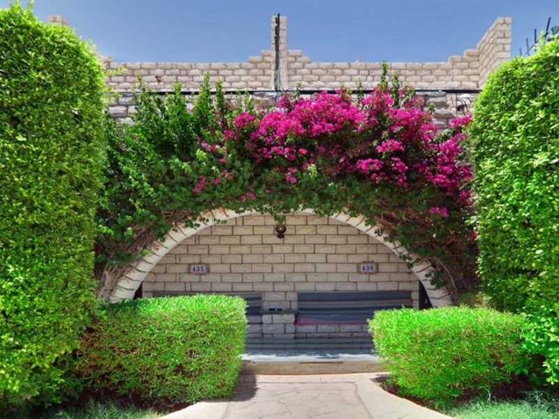 Jasmine Village 36949