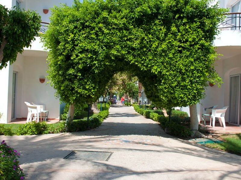 Jaz Fanara Resort  (ех 42822