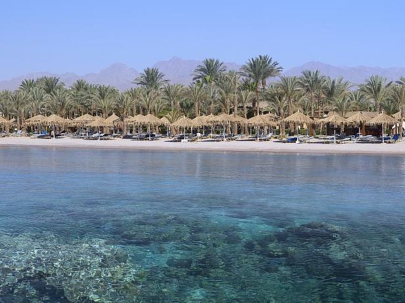 Jaz Fayrouz Resort (ex 124523