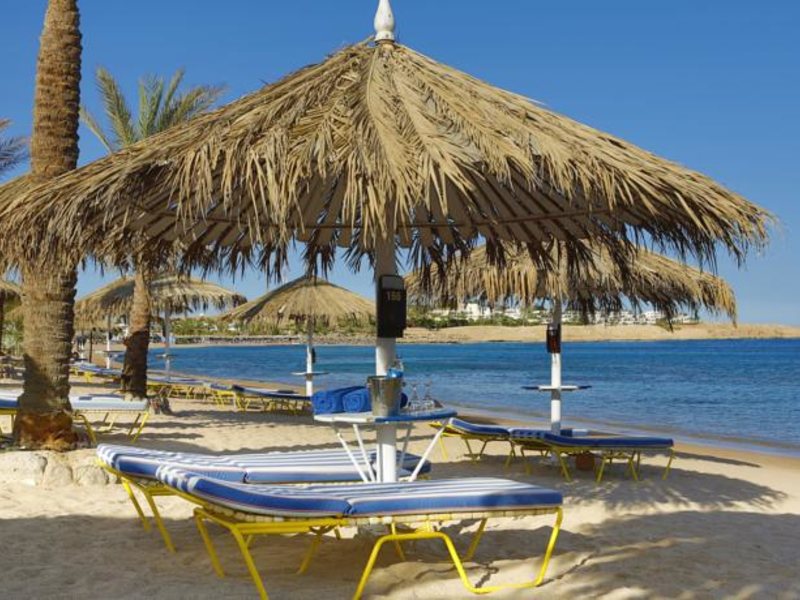 Jaz Fayrouz Resort (ex 124544