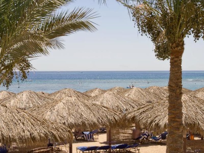 Jaz Makadi Star 125321