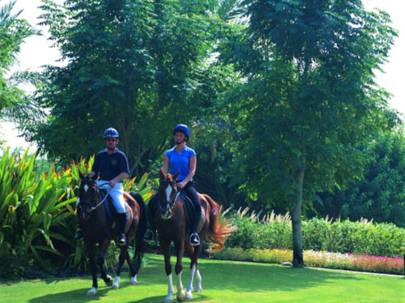 Jebel Ali Palm Tree Court & Spa 8275