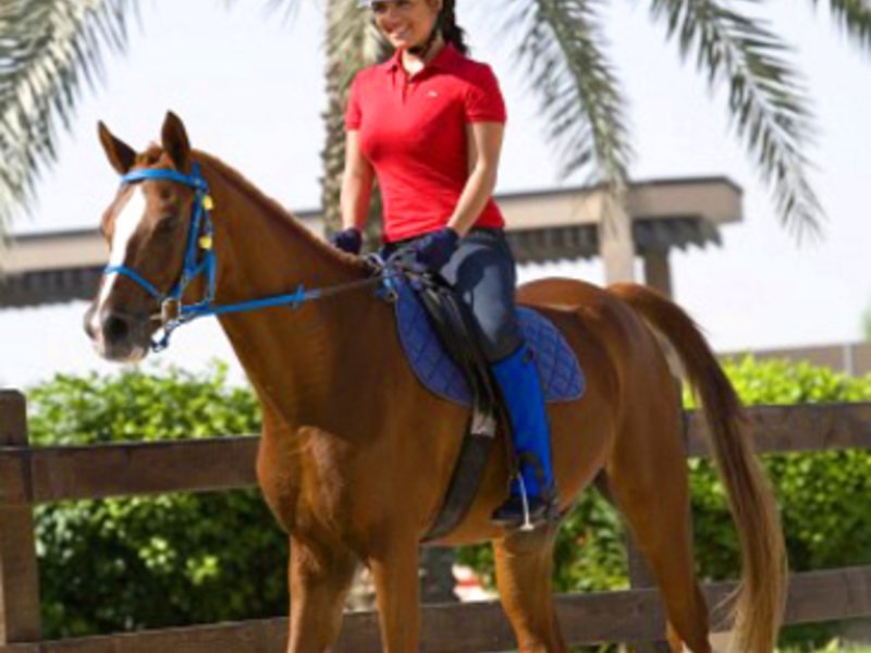 Jebel Ali Palm Tree Court & Spa 8276