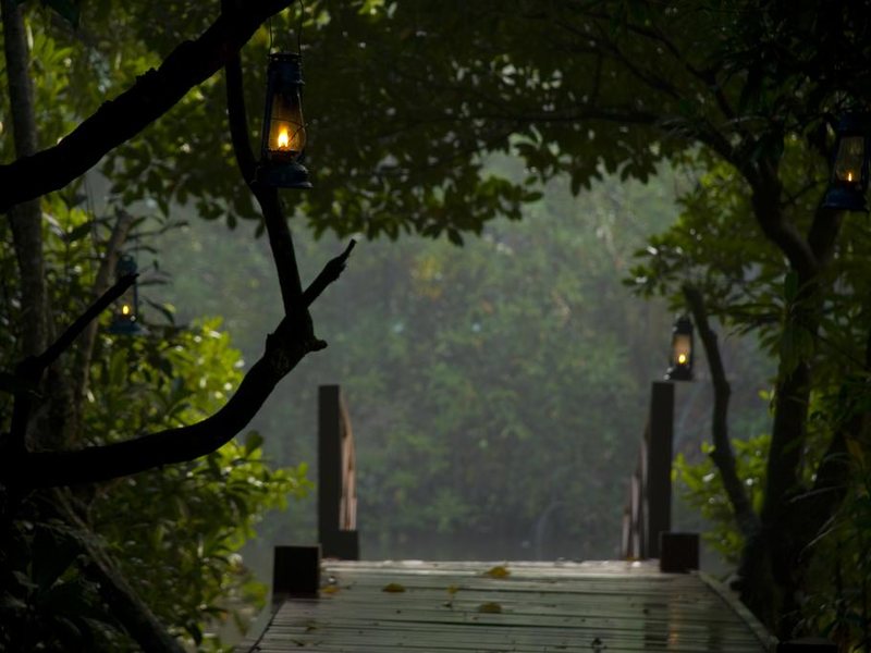 Jetwing Kurulubedda 110036