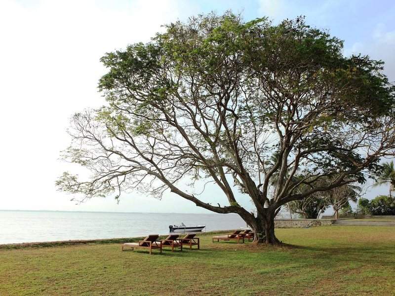 Jetwing Lagoon 110062