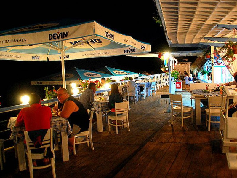 Journalist-Botanical Garden  162726