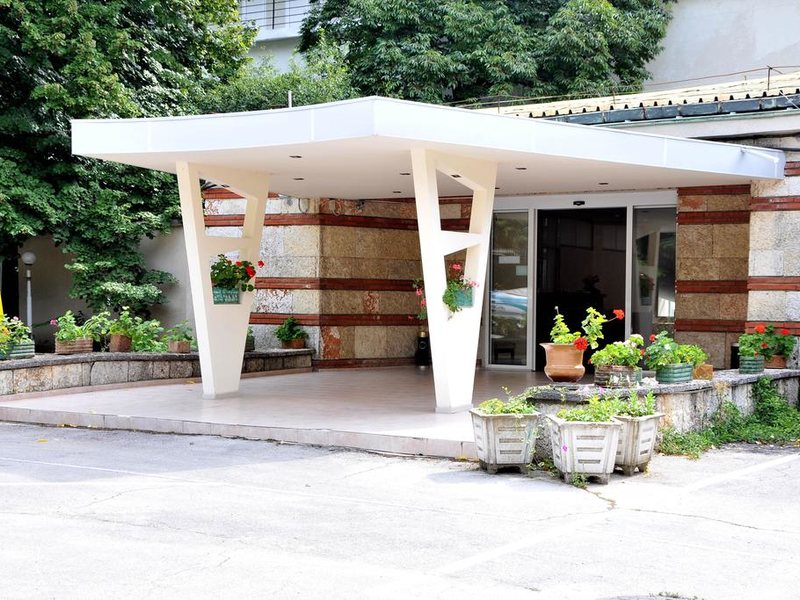 Journalist-Botanical Garden  162731