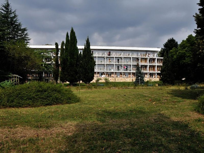 Journalist-Botanical Garden  162732