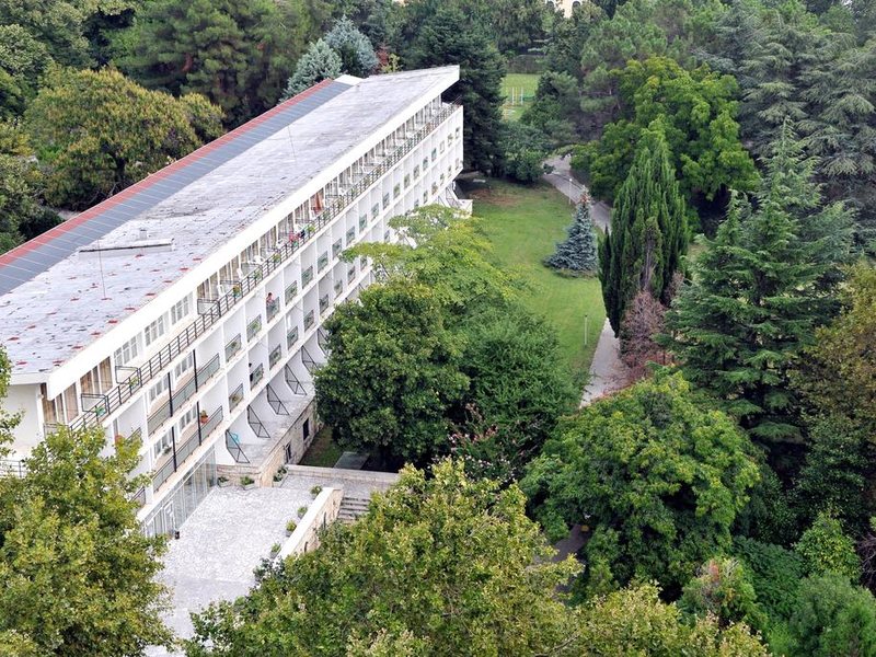 Journalist-Botanical Garden  162734