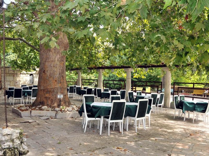 Journalist-Botanical Garden  162742