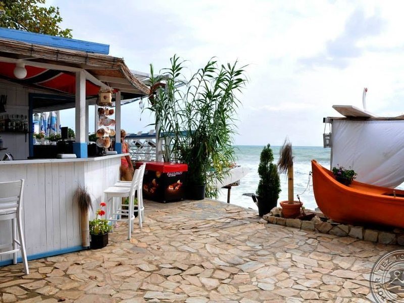 Journalist-Botanical Garden  162750