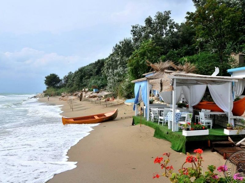 Journalist-Botanical Garden  162751