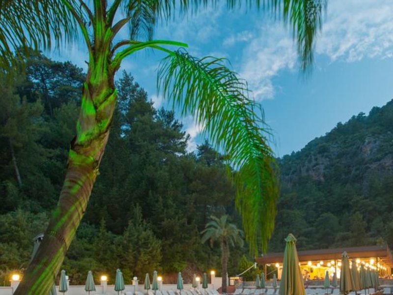 Julian Forest Suites 65448