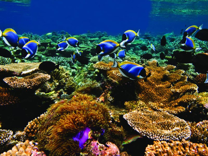 Jumeirah Dhevanafushi 135196