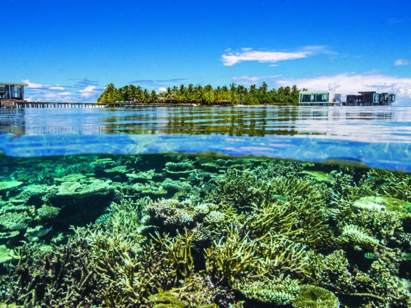 Jumeirah Dhevanafushi 135233