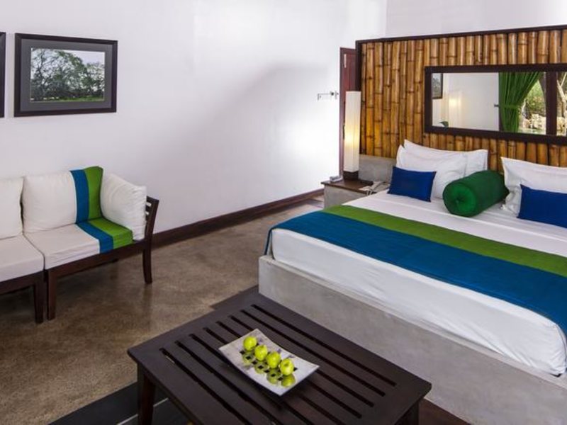 Jungle Beach Resort 111616