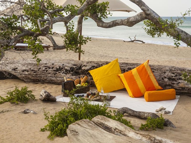 Jungle Beach Resort 111622