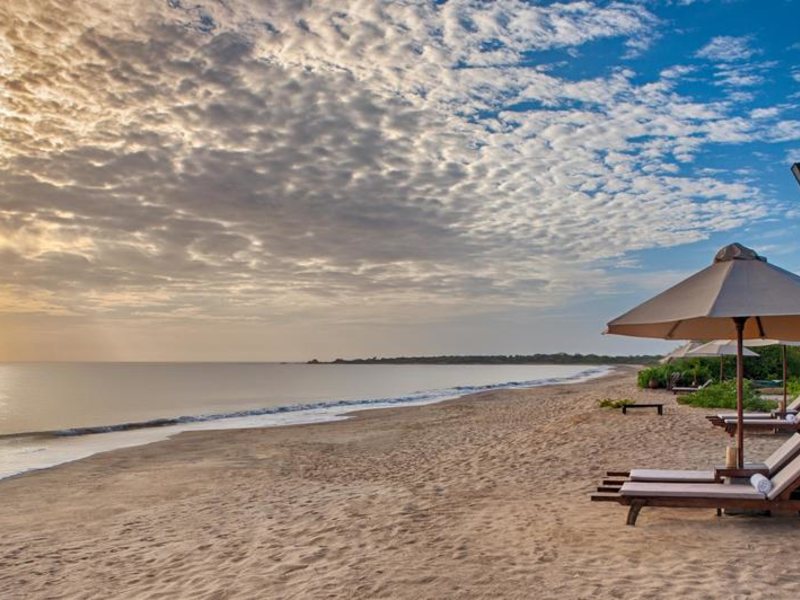 Jungle Beach Resort 111624