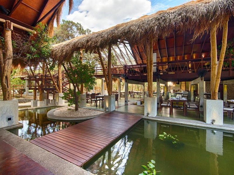 Jungle Beach Resort 111625