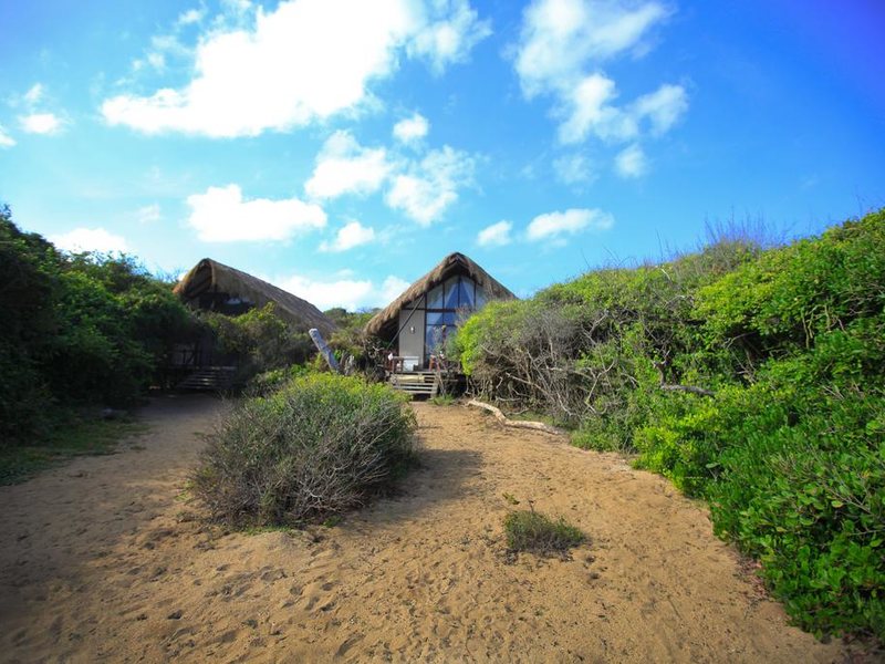 Jungle Beach Resort 111637