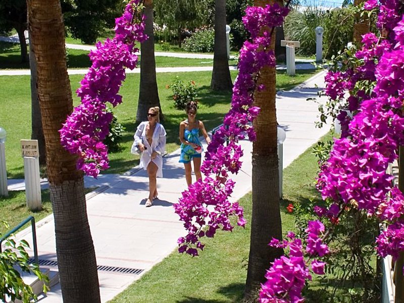 Justiniano Club Alanya 38487