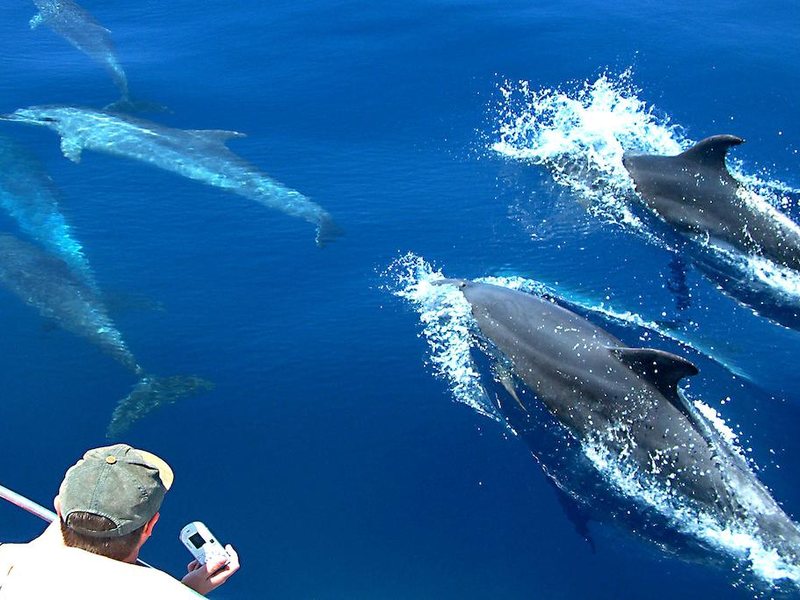 Kaani Beach Hotel 324968