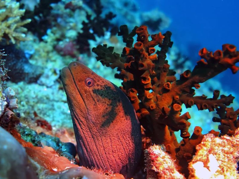 Kaani Beach Hotel 324971