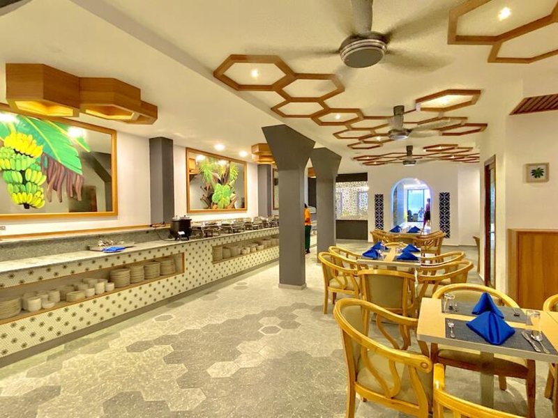 Kaani Palm Beach 325025