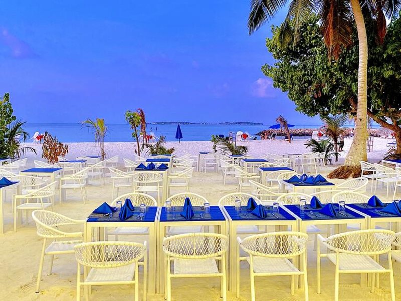 Kaani Palm Beach 325027