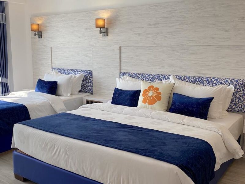 Kaani Palm Beach 325035