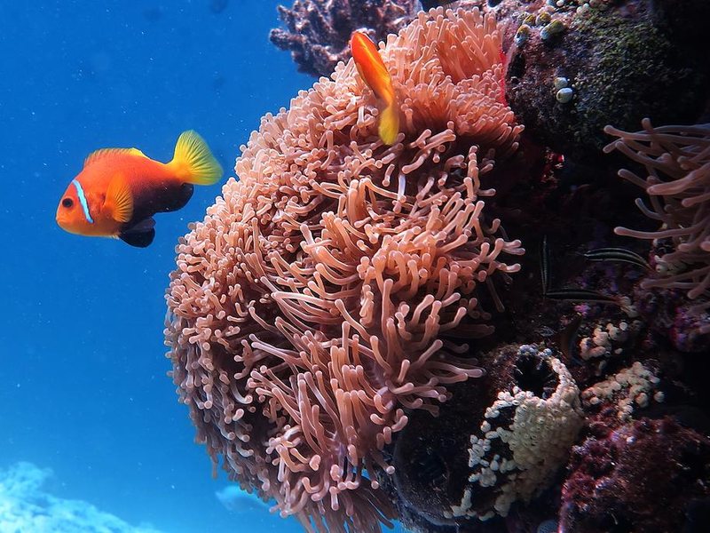 Kaani Village & Spa Guest House 239912