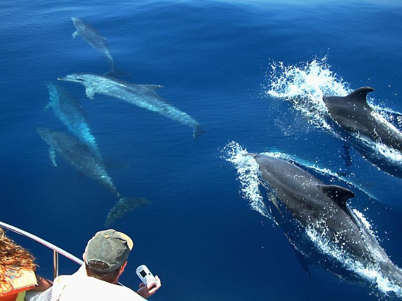 Kaani Village & Spa Guest House 239915