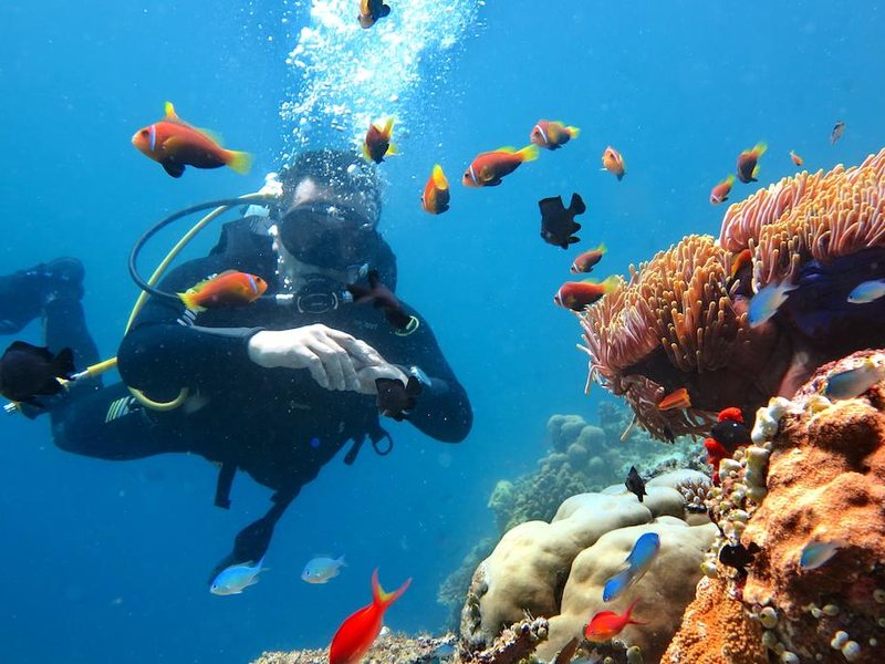 Kaani Village & Spa Guest House 239918