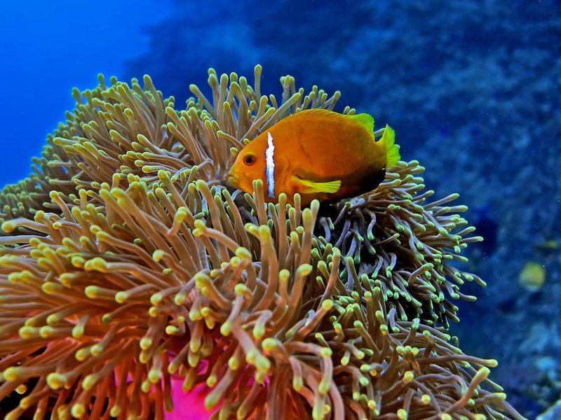 Kaani Village & Spa Guest House 239923