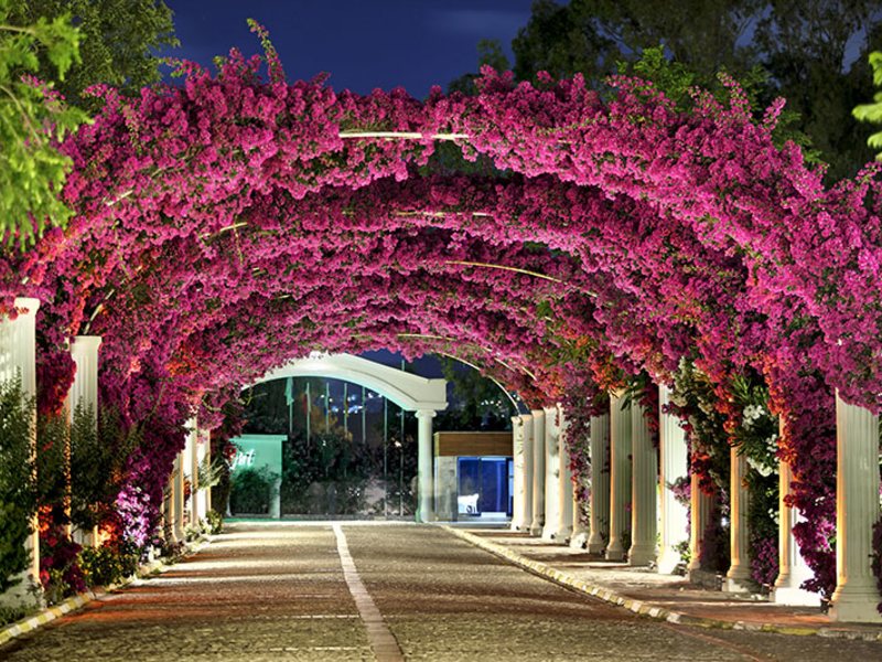 Kadikale Resort Spa & Wellness 92714