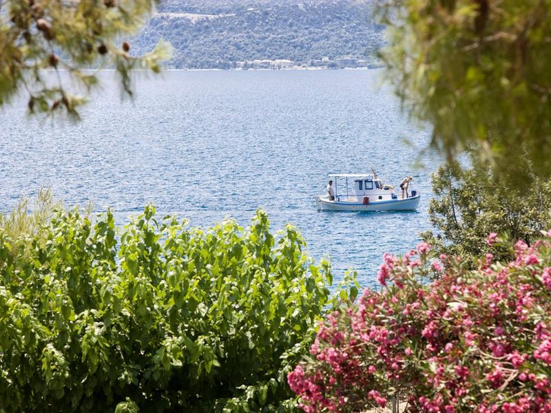 Kalamaki Beach 218389