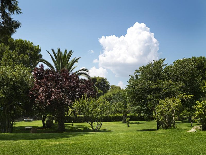 Kalamaki Beach 218396