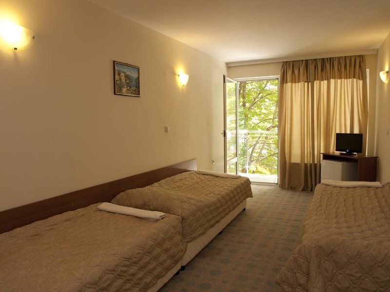 Kamenec Hotel 165859