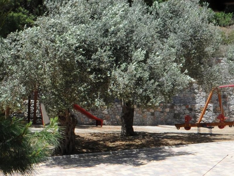 Kaminos Resort 259604