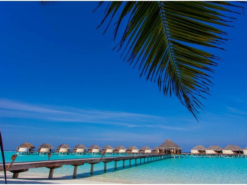 Kanuhura Island Resort & Spa 135302