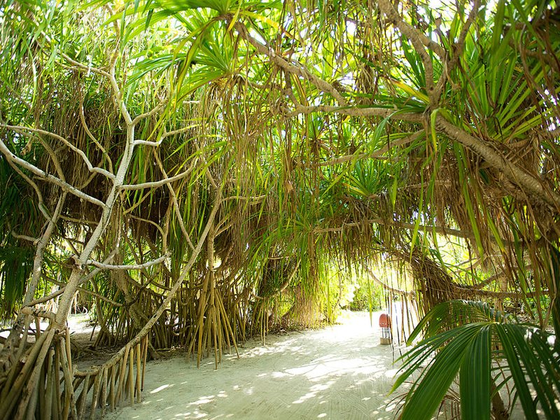 Kanuhura Island Resort & Spa 135325